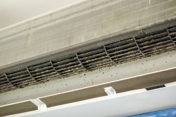 Best Local Air Duct Cleaning Services  in Elkhart Lake, WI